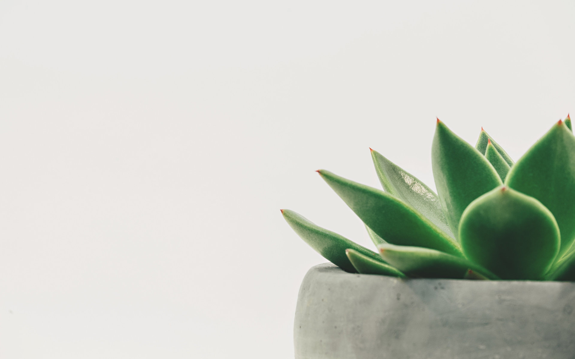 Sabine Botterer :: MBSR, Meditation, Yoga und Bewegung
